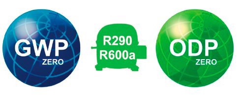 Un dibujo de un perro

El contenido generado por IA puede ser incorrecto.